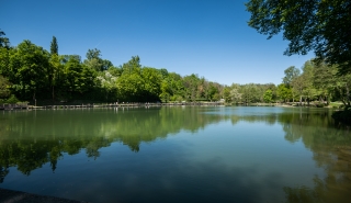 Curage de l’étang de Rosière